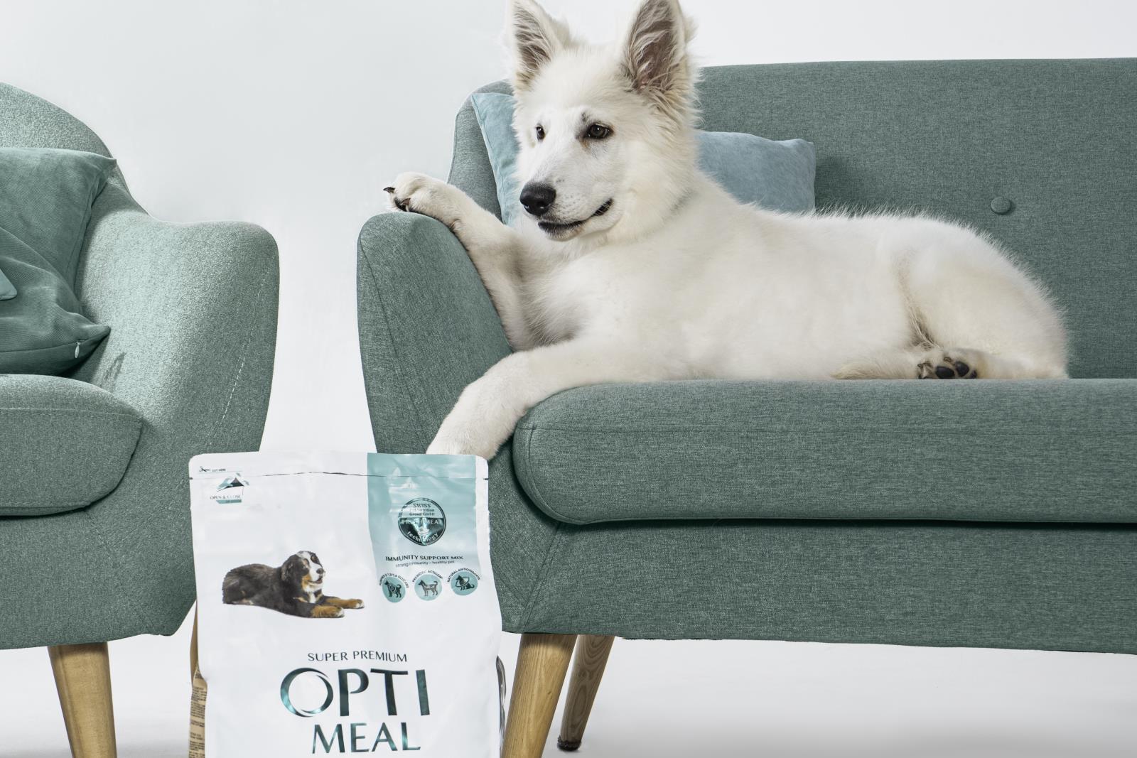 Podzimní péče o srst: Jak na zdravou a lesklou srst vašeho domácího mazlíčka?